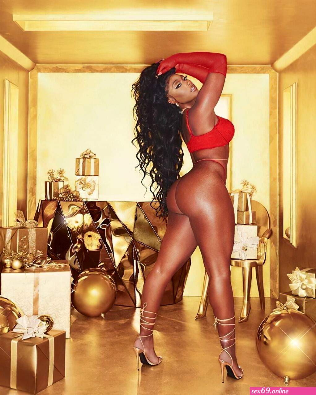 Megan Thee Stallion Naked Sexy Photos